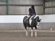 Image 204 in NEWTON HALL EQUITATION. DRESSAGE. 26 MAY 2019.