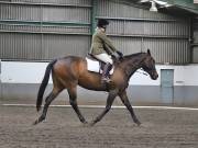 Image 212 in NEWTON HALL EQUITATION. DRESSAGE. 26 MAY 2019.