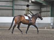 Image 214 in NEWTON HALL EQUITATION. DRESSAGE. 26 MAY 2019.