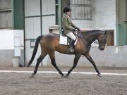 Image 215 in NEWTON HALL EQUITATION. DRESSAGE. 26 MAY 2019.