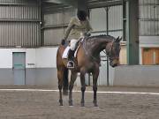 Image 216 in NEWTON HALL EQUITATION. DRESSAGE. 26 MAY 2019.