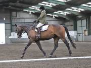 Image 217 in NEWTON HALL EQUITATION. DRESSAGE. 26 MAY 2019.