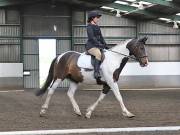 Image 22 in NEWTON HALL EQUITATION. DRESSAGE. 26 MAY 2019.