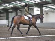 Image 220 in NEWTON HALL EQUITATION. DRESSAGE. 26 MAY 2019.