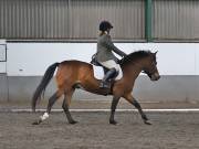 Image 223 in NEWTON HALL EQUITATION. DRESSAGE. 26 MAY 2019.