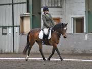 Image 226 in NEWTON HALL EQUITATION. DRESSAGE. 26 MAY 2019.