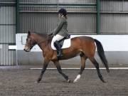 Image 227 in NEWTON HALL EQUITATION. DRESSAGE. 26 MAY 2019.