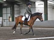 Image 228 in NEWTON HALL EQUITATION. DRESSAGE. 26 MAY 2019.