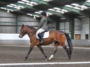 Image 229 in NEWTON HALL EQUITATION. DRESSAGE. 26 MAY 2019.