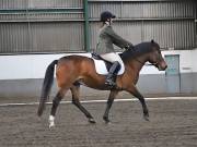 Image 232 in NEWTON HALL EQUITATION. DRESSAGE. 26 MAY 2019.