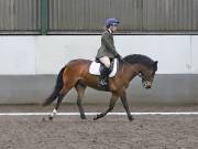 Image 237 in NEWTON HALL EQUITATION. DRESSAGE. 26 MAY 2019.