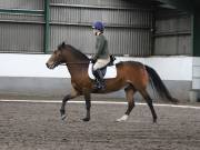 Image 238 in NEWTON HALL EQUITATION. DRESSAGE. 26 MAY 2019.