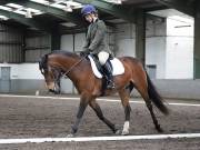 Image 240 in NEWTON HALL EQUITATION. DRESSAGE. 26 MAY 2019.