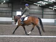 Image 242 in NEWTON HALL EQUITATION. DRESSAGE. 26 MAY 2019.