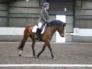 Image 244 in NEWTON HALL EQUITATION. DRESSAGE. 26 MAY 2019.