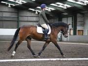 Image 246 in NEWTON HALL EQUITATION. DRESSAGE. 26 MAY 2019.