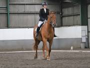 Image 249 in NEWTON HALL EQUITATION. DRESSAGE. 26 MAY 2019.