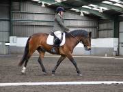 Image 25 in NEWTON HALL EQUITATION. DRESSAGE. 26 MAY 2019.