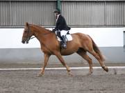 Image 251 in NEWTON HALL EQUITATION. DRESSAGE. 26 MAY 2019.