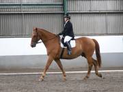 Image 252 in NEWTON HALL EQUITATION. DRESSAGE. 26 MAY 2019.