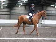 Image 253 in NEWTON HALL EQUITATION. DRESSAGE. 26 MAY 2019.