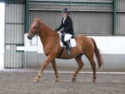 Image 254 in NEWTON HALL EQUITATION. DRESSAGE. 26 MAY 2019.