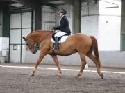 Image 259 in NEWTON HALL EQUITATION. DRESSAGE. 26 MAY 2019.