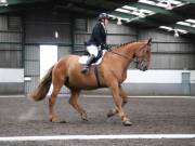 Image 260 in NEWTON HALL EQUITATION. DRESSAGE. 26 MAY 2019.