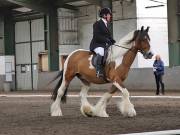 Image 262 in NEWTON HALL EQUITATION. DRESSAGE. 26 MAY 2019.