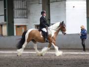Image 265 in NEWTON HALL EQUITATION. DRESSAGE. 26 MAY 2019.