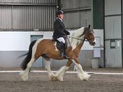 Image 266 in NEWTON HALL EQUITATION. DRESSAGE. 26 MAY 2019.