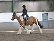 Image 267 in NEWTON HALL EQUITATION. DRESSAGE. 26 MAY 2019.