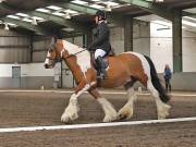 Image 268 in NEWTON HALL EQUITATION. DRESSAGE. 26 MAY 2019.