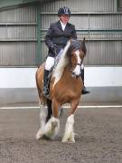 Image 271 in NEWTON HALL EQUITATION. DRESSAGE. 26 MAY 2019.