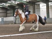 Image 274 in NEWTON HALL EQUITATION. DRESSAGE. 26 MAY 2019.