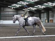 Image 276 in NEWTON HALL EQUITATION. DRESSAGE. 26 MAY 2019.