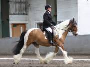 Image 291 in NEWTON HALL EQUITATION. DRESSAGE. 26 MAY 2019.