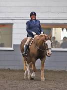 Image 292 in NEWTON HALL EQUITATION. DRESSAGE. 26 MAY 2019.