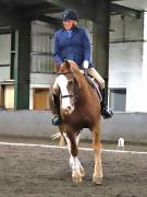 Image 293 in NEWTON HALL EQUITATION. DRESSAGE. 26 MAY 2019.