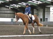 Image 294 in NEWTON HALL EQUITATION. DRESSAGE. 26 MAY 2019.