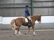 Image 295 in NEWTON HALL EQUITATION. DRESSAGE. 26 MAY 2019.