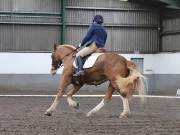 Image 298 in NEWTON HALL EQUITATION. DRESSAGE. 26 MAY 2019.