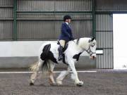 Image 3 in NEWTON HALL EQUITATION. DRESSAGE. 26 MAY 2019.