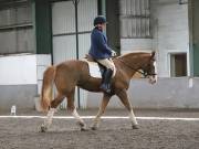 Image 300 in NEWTON HALL EQUITATION. DRESSAGE. 26 MAY 2019.