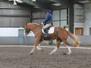 Image 301 in NEWTON HALL EQUITATION. DRESSAGE. 26 MAY 2019.