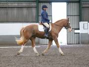 Image 302 in NEWTON HALL EQUITATION. DRESSAGE. 26 MAY 2019.