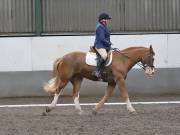 Image 303 in NEWTON HALL EQUITATION. DRESSAGE. 26 MAY 2019.