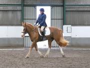 Image 304 in NEWTON HALL EQUITATION. DRESSAGE. 26 MAY 2019.