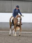 Image 307 in NEWTON HALL EQUITATION. DRESSAGE. 26 MAY 2019.