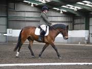 Image 31 in NEWTON HALL EQUITATION. DRESSAGE. 26 MAY 2019.
